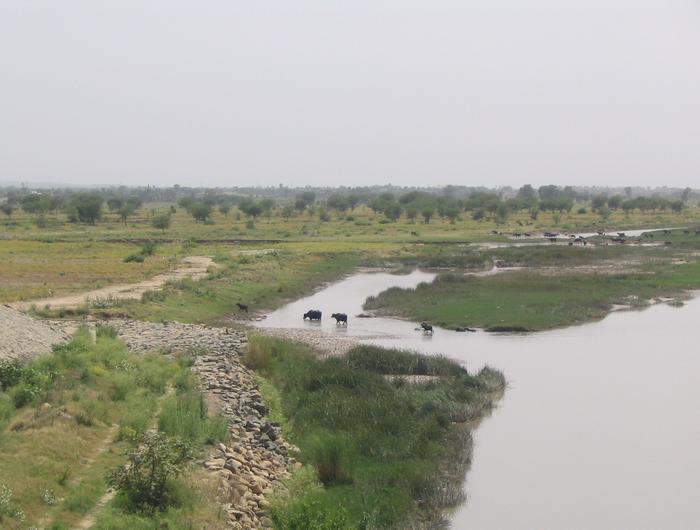 Het slagveld aan de Jhelum