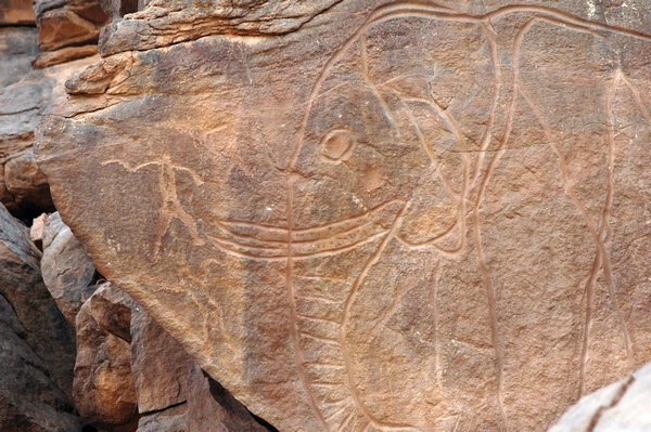 Een grote olifant en een kleine slingeraar (Wadi Mathendous)